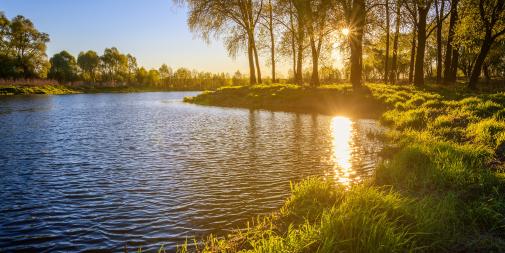 Ayurvedische Heilkunst