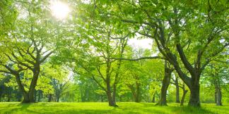 Nahrungsergänzungsmittel und Heilsteine